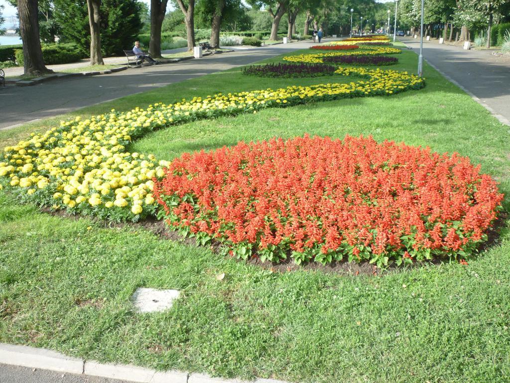 Sea Garden Plaza Apartment Burgas Habitación foto